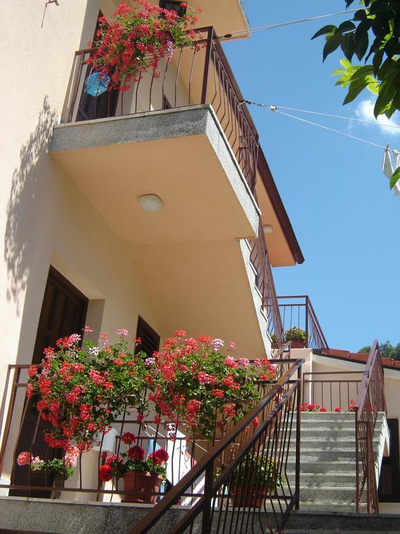Apartment Grgorinic *